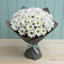 Букет цветов из:  Хризантемы #REPLACE_PRED# Новом Хушете