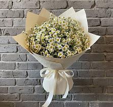 Букет цветов из:  Ромашки #REPLACE_PRED# Новом Хушете