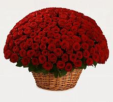 Премиум букет из: Розы в Новом Хушете