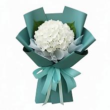 Букет цветов из:  Гортензия #REPLACE_PRED# Новом Хушете